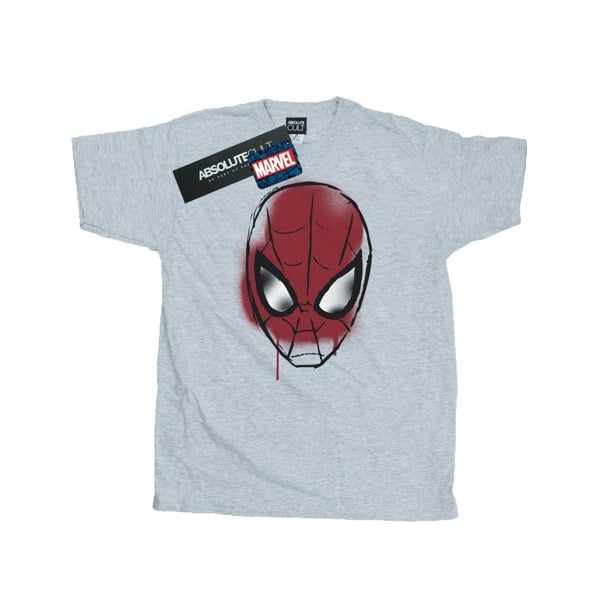Marvel Boys Spider-Man Face Sketch T-Shirt - Heather Grey
