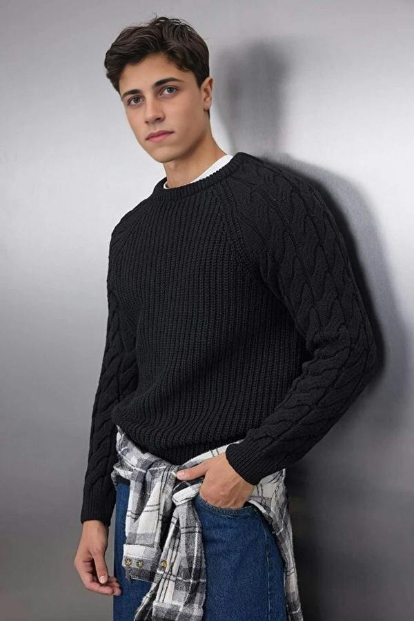 WOVCOR Regular Fit Woolen Crew Neck Knit Men's Sweater with Hair Knitting Detail