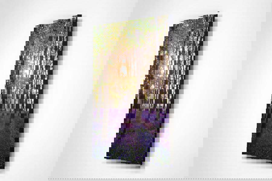 bluebell sunrise acrylic photo print