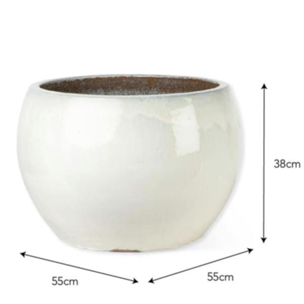 A studio cutout image of the round white glazed terracotta planter showing its product dimensions of 55cm width and 38cm height against a clean white background.