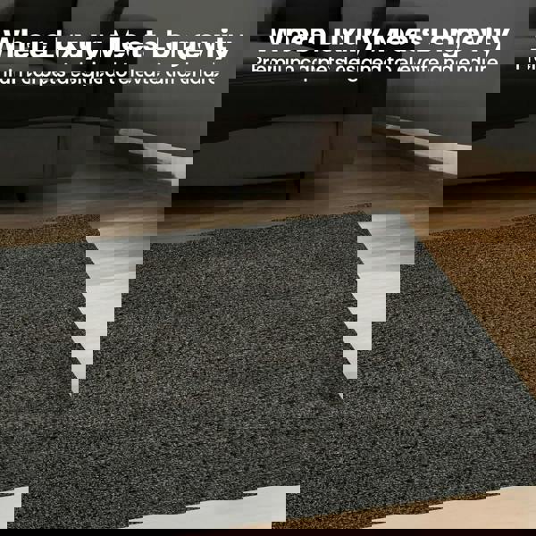 KAV Washable Area Rug – Shaggy Soft Non-Slip Carpet for Living Room, Bedroom, Dining or Kitchen – Durable, Elegant, Non-Shedding Indoor Floor Rug