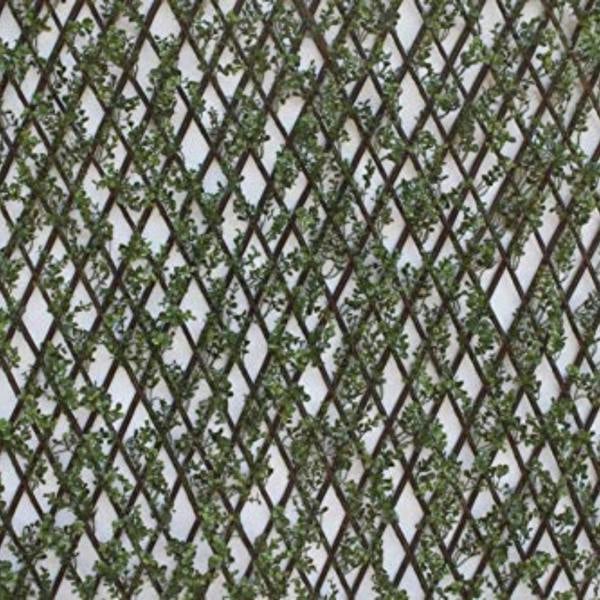 The Garden Marketplace Expanding Willow Garden Trellis with Buxus Leaves, 2m x 1m Extendable Privacy Screen Panel, Decorative Greenery Fence Cover