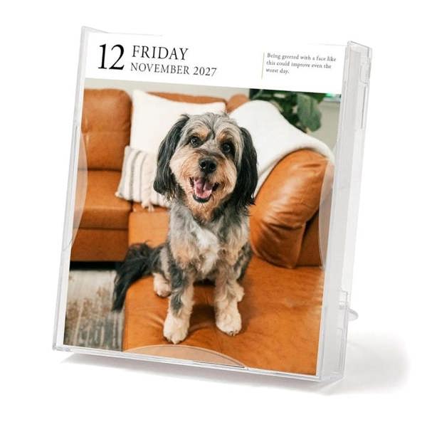 Dog Gallery Desk Calendar 2027, Desk Calendars, Day To View, Dogs, Gift
