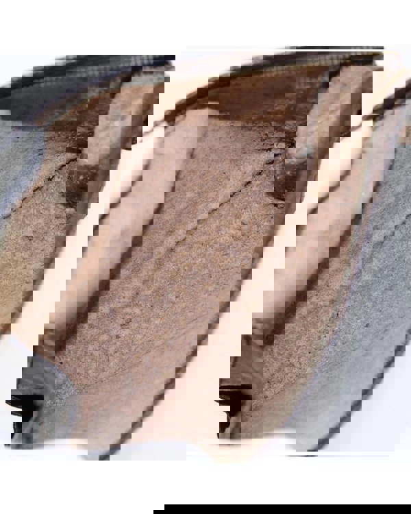 193982485.jpg