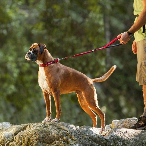 EzyDog Zero Shock Dog Lead in Red