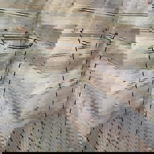 Samuel Alexander 2 Pack of Tom Chambers Cottage Heavy Duty Black Metal Steel Herbaceous Garden Plant Support Ring Large 80cm x 45cm