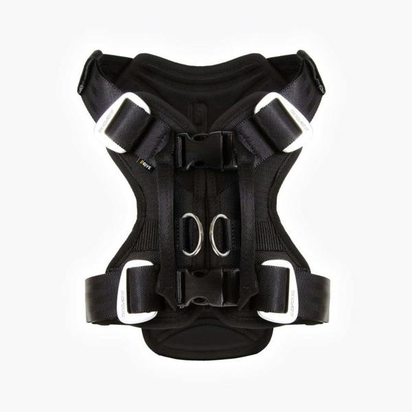 EzyDog Drive Car Harness