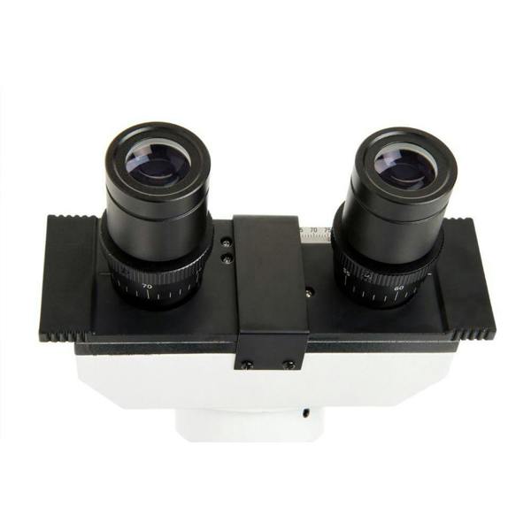 Celestron Labs CB2000CF Compound Binocular Microscope
