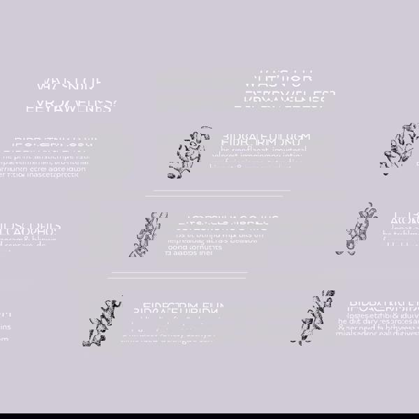 Simone Thomas Wellness Supplements Everyday Wellness x 60 - Additional 4