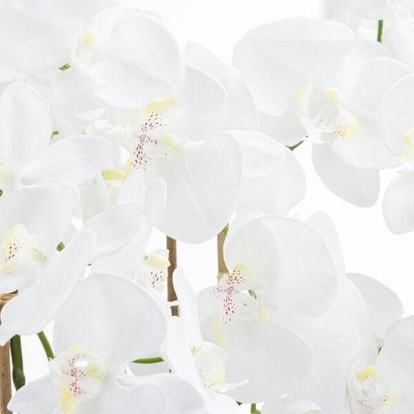 Wyld Haus Artificial Flowers Large White Tall Orchid in Glass Pot