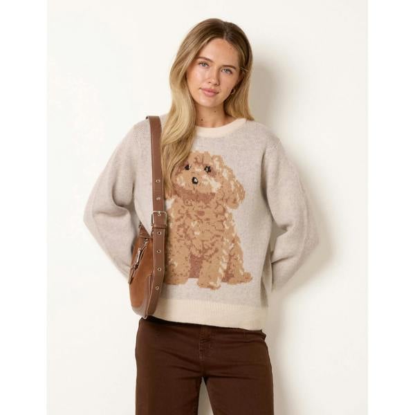 Blue Vanilla Knitted Round Neck Dog Jumper