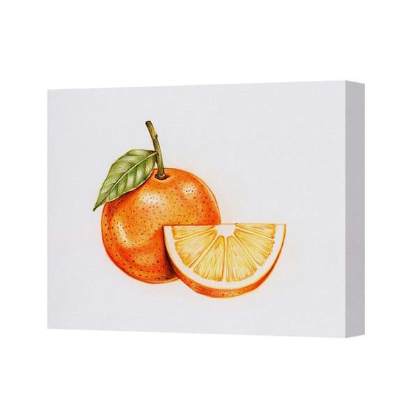 Benjamin Tate Design Orange Fruit And Slice Canvas Art Print Modern Kitchen Wall Decor