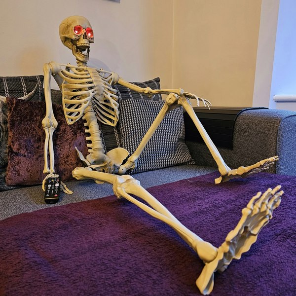 Samuel Alexander Pack of 4 5ft (150cm) Posable Full Body Halloween LED Skeleton Decoration with Movable Joints and LED Eyes