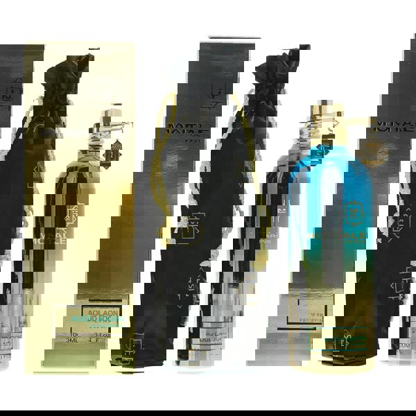 Montale Aoud Lagoon Eau de Parfum 100ml