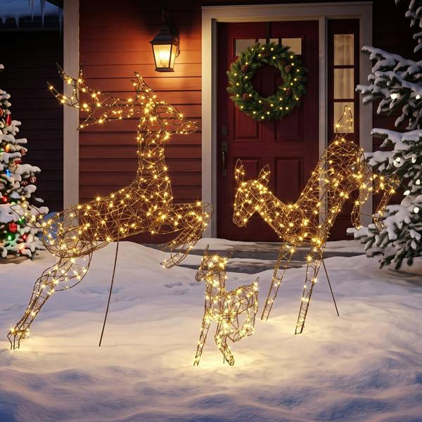 Lighted Christmas Decoration