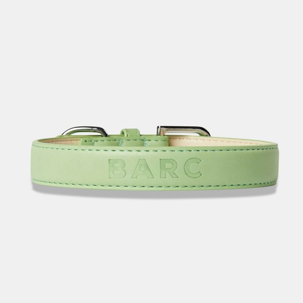 Green Dog Collar UK Brand Barc London