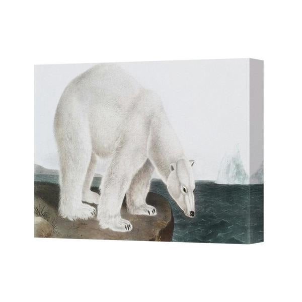 Benjamin Tate Design Polar Bear on a Snowy Cliff by the Sea Canvas Wall Art Print