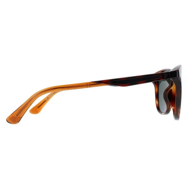 Police Sunglasses SPLF18E 978P Shiny Dark Havana Green Polarized