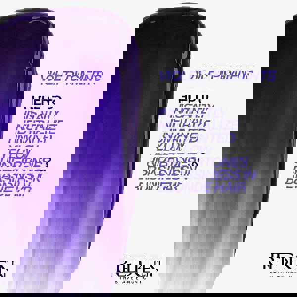 Redken Color Extend Blondage Express Anti-Brass Mask