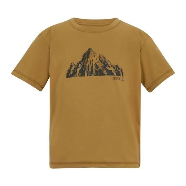 Regatta Childrens/Kids Alvarado Back Print T-Shirt - Wood Brown - 