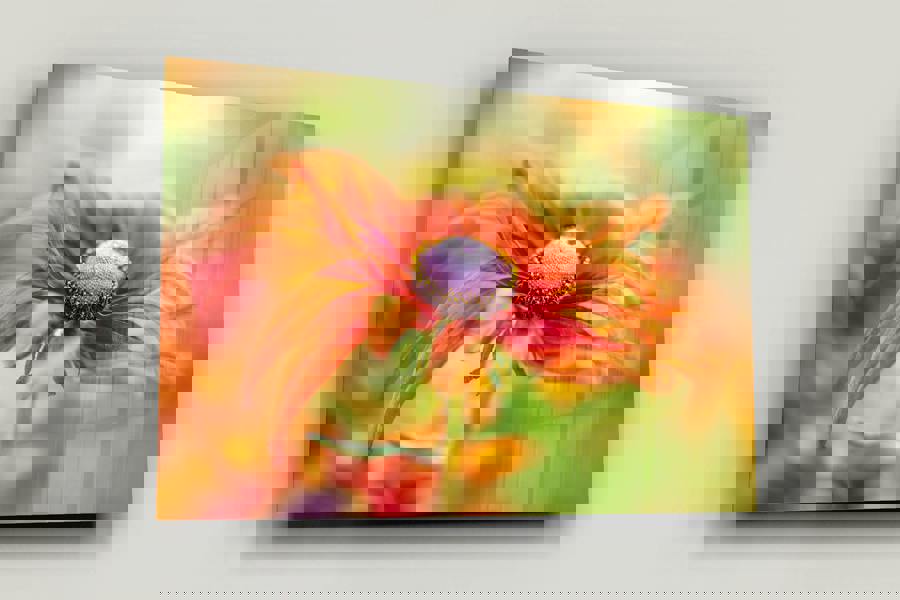 Dancing Rudbeckia artistic floral photography print