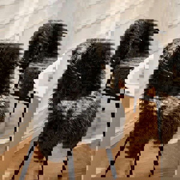 New Zealand Sheepskin | Long Wool | Rug 135 cm Aubergine