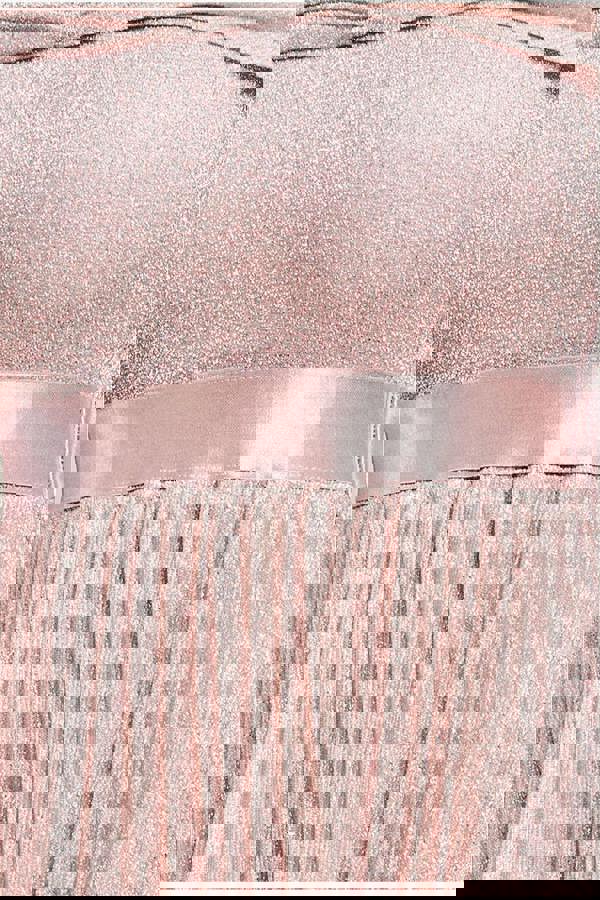 Bardot Pleated Skirt Maxi Dress - Blush DR3096A