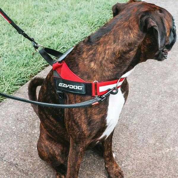 EzyDog Vario 4 Multi-Function Dog Lead in Black