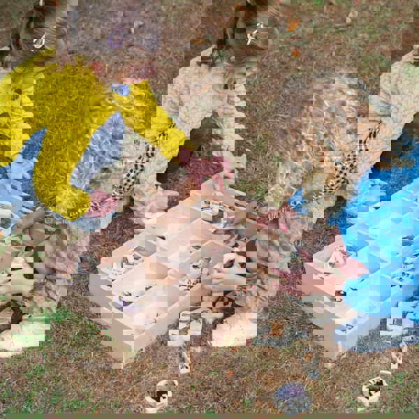 tickit Wooden Sorting Tray - 7 way