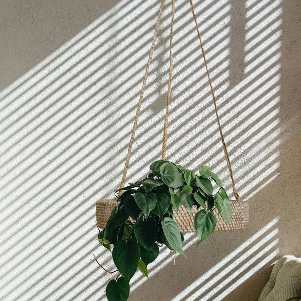 Natural rattan single tier hanging plant basket metal insert indoor