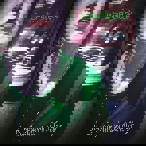 The Lemonheads 'It's A Shame About Ray' (30th Anniversary Edition) 2CD