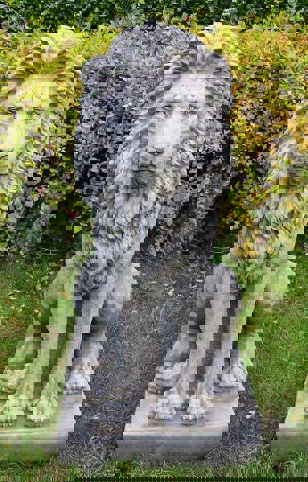 Pair of stunning large sitting lion statues