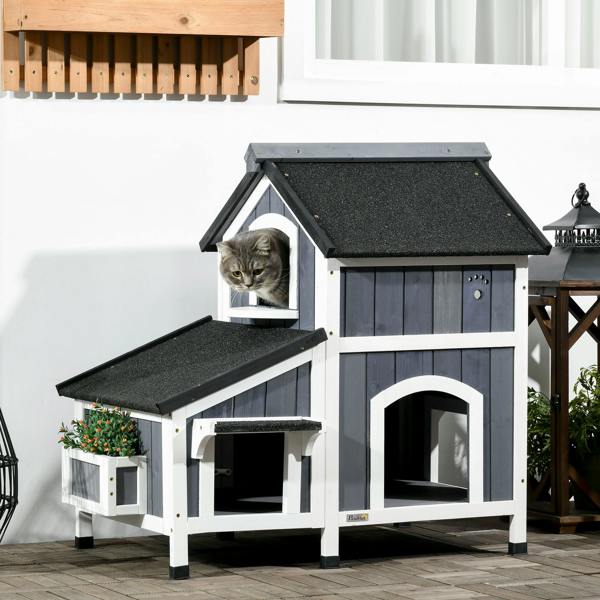 Cat House