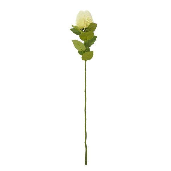 Wyld Haus Set of 3 Artificial Flowers Cream Banksia Stems