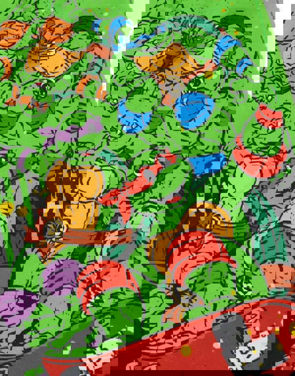 Teenage Mutant Ninja Turtles Boys Multicoloured What'S Up Dude Swim Shorts