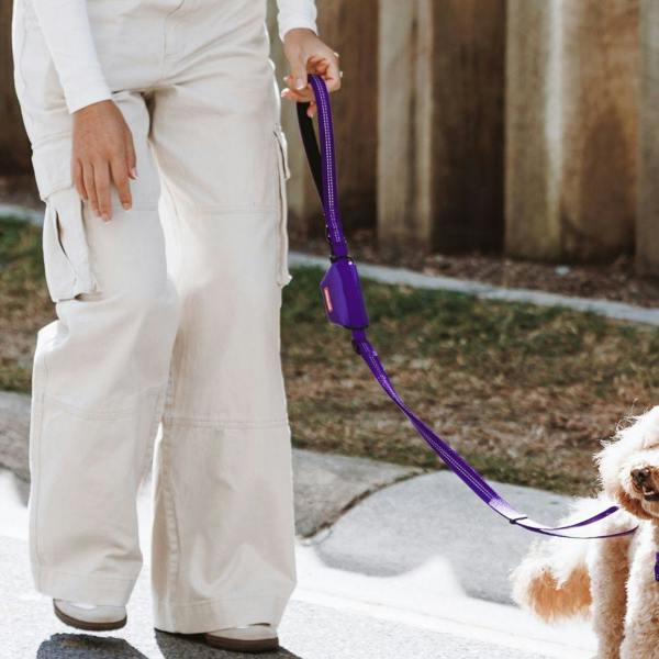 EzyDog Essential Poop Bag Holder in Purple