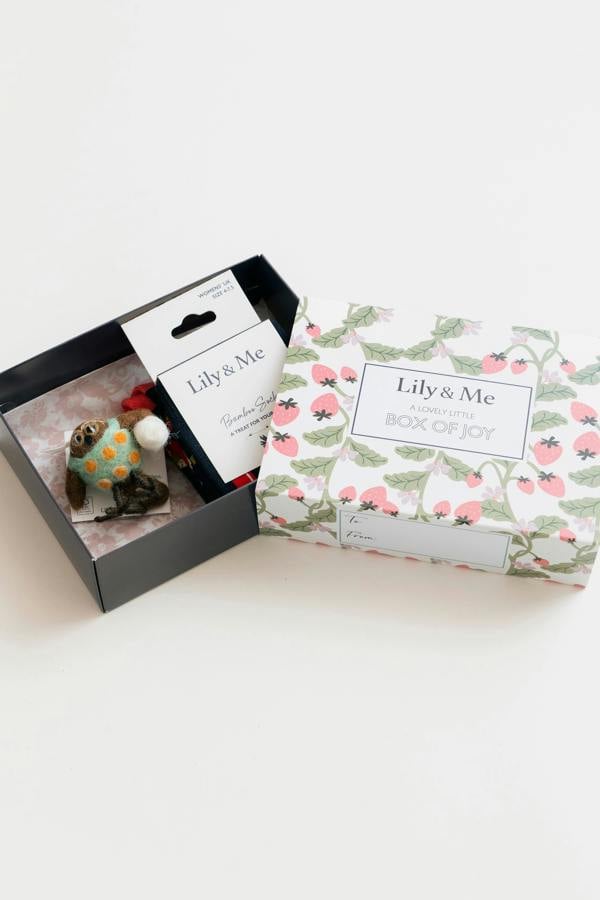 Lily & Me Olive The Owl Bamboo Socks And Decoration Giftbox