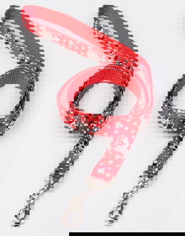 Disney Unisex Blue Minnie Mouse Bowl , Collar , Charm and Lead Gift Set