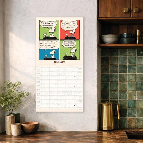 Peanuts Family Planner 2027, Family Planners, Month To View, Humour, Gift