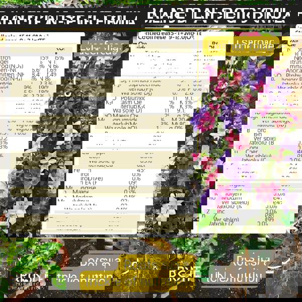 Bronte Heritage Clematis Fertiliser 120g – Controlled-release granules for climbers like honeysuckle & ivy. Boosts growth & flowering. Easy-apply