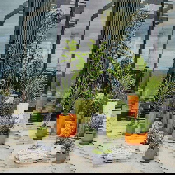 #color_orange