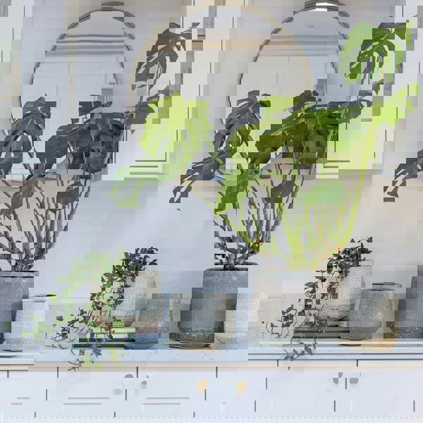 #color_grey