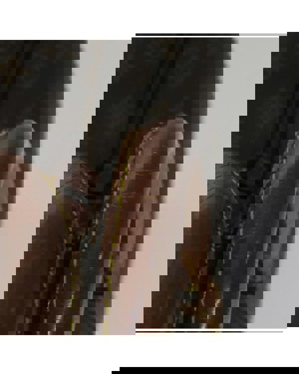 221870588.jpg