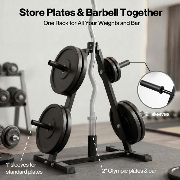 Centra Weight Plate Storage Rack Olympic Plate Holder Gym Weight Stand Tree