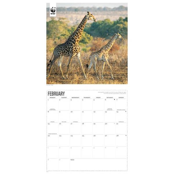 WWF, Giraffes Calendar 2027, Wall Calendars, Month To View, Animals, Gift