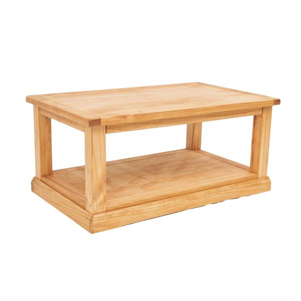Cabinet Bits Coffee Table with Shelf - H45 W100 D60cm