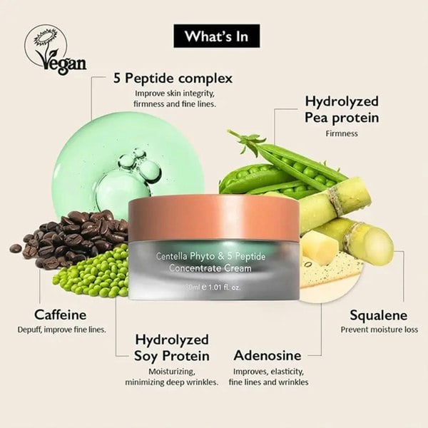 Haruharu Wonder Centella Phyto & 5 Peptide Concentrate Cream 30ml - Atelier De Glow