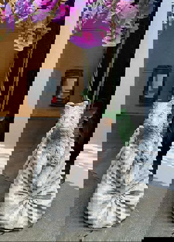 Cat in Bag Stone Pot planter