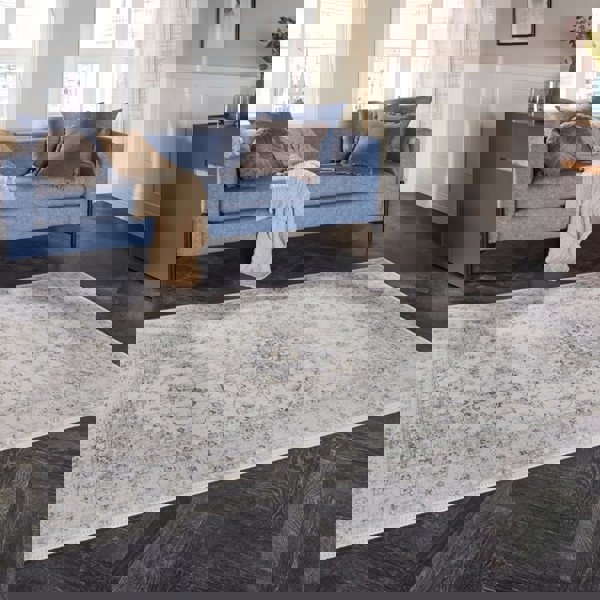 Nain Oriental-Optic Grey Rug – Vintage Medallion