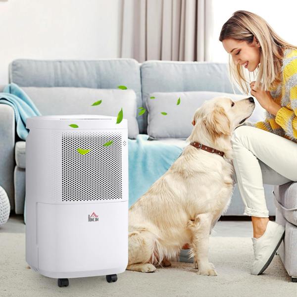 WiFi Dehumidifier